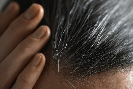 Hand touching gray hair at the hairline during aging process