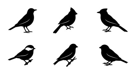Diverse Bird Silhouettes Collection, Feathered Friends Vector Icons, Avian Wildlife Graphics, Nature Wildlife Icons © Reshma