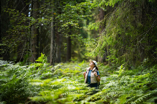 Hiker with backpack exploring lush forest looking up in wonder