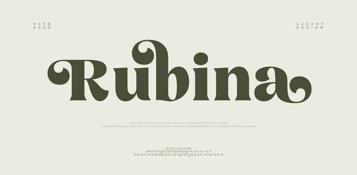 Elegant awesome alphabet letters font and number. unique serif font. Classic Lettering Minimal Fashion Designs. Typography fonts regular uppercase and lowercase. vector illustration