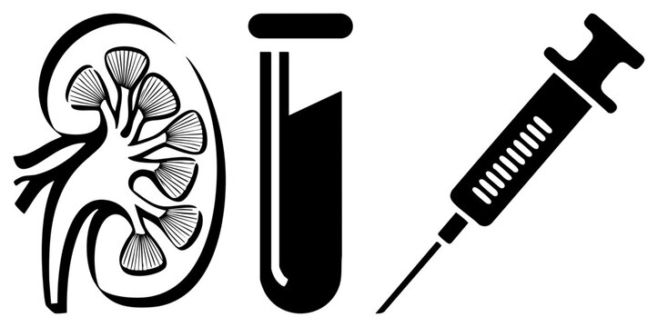 Anatomical nephron illustration featuring a renal organ, alongside a clinical test tube and a medical syringe. This biological specimen depiction uses bold black shapes for healthcare concepts.