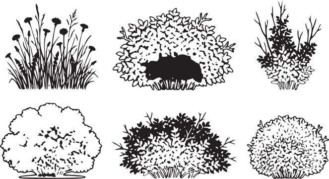 Vector illustration of various bushes and plants in black and white, featuring leafy shrubs, flowers, and grass, with a boar in a natural setting.