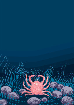 Crab in seabed at dark blue sea background