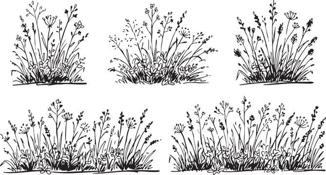 Black and white vector illustration of various wildflower and grass clusters for design elements and graphic resources