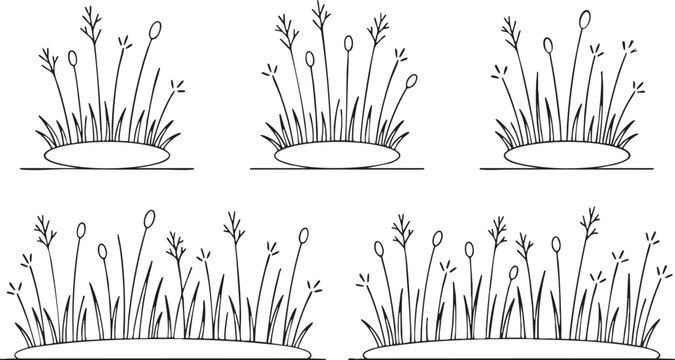 Vector grass illustration with various growth stages and textures in black and white design