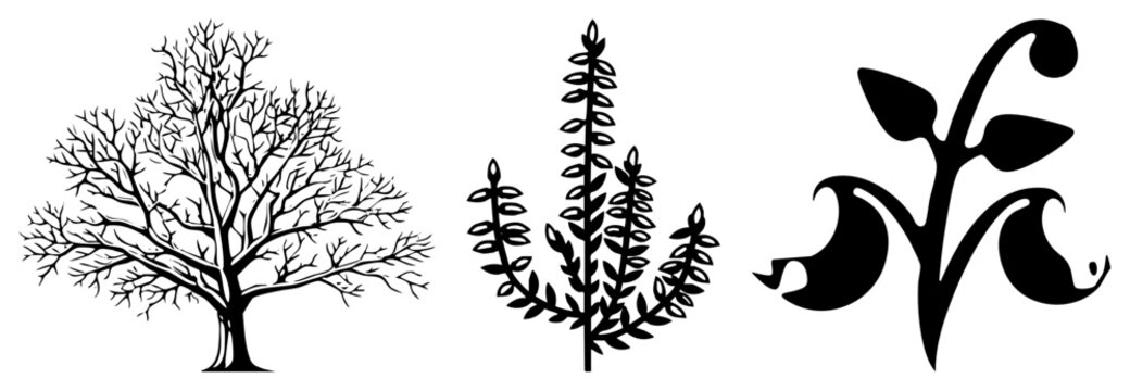 Collection featuring a sprawling leafless tree, a leafy sprig, and a decorative motif. These nature elements, including a bare branch and plant sprig, offer organic silhouettes.
