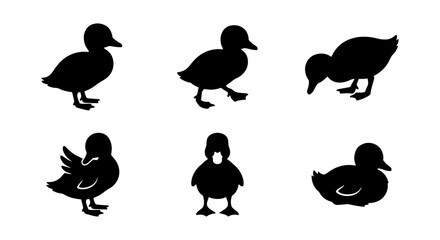 Adorable Duckling Silhouettes, Cute Baby Bird Icons, Farm Animal Vector Graphics, Simple Black and White Poultry Shapes © Delwar