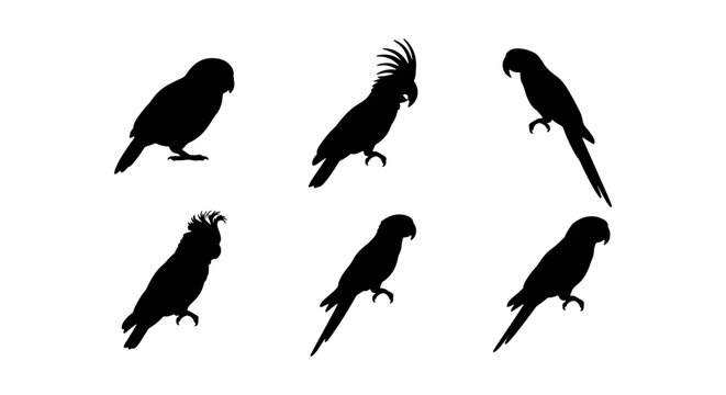 Black Parrot Silhouettes, Tropical Bird Icons, Exotic Avian Vector Graphics for Wildlife and Nature Designs