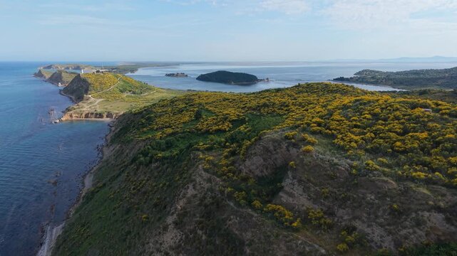 Aerial view of the Zvernec Peninsula featuring hills covered in yellow flowers along the rugged coastline and blue sea in Zvernec, Vlore County, Albania.