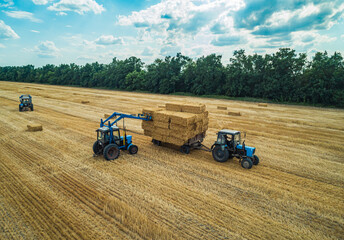 Obraz premium Farmers working together to collect hay bales using tractors in a sunlit field during late summer