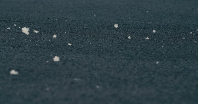 Soft white clumps of poplar fluff lie scattered across dark gray asphalt in a close-up shot with a shallow depth of field.