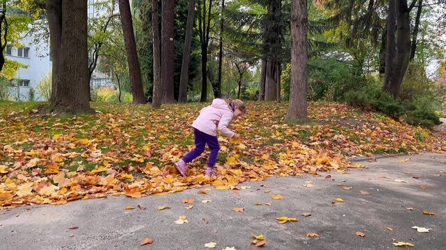 Cute little girl in stylish clothes walks in the park and collects leaves on an autumn sunny day, walks with children a healthy lifestyle