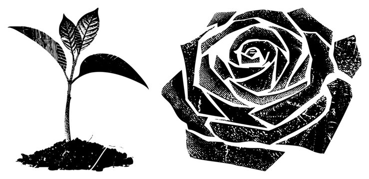 Weathered botanical set featuring a blooming rose and a tiny sapling. This gritty duo includes a garden sprout and a classic rosebud, rendered in a distressed stencil aesthetic.