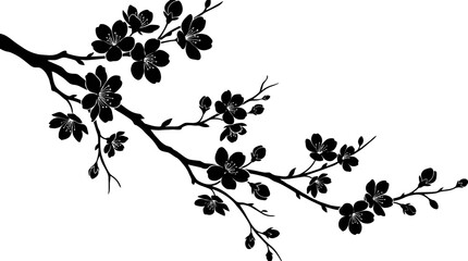 Black Cherry Blossom Branch Silhouette © Art Sof galery photo