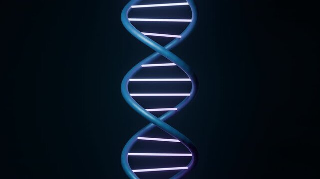 Futuristic 3D dark blue DNA strand rotating seamless loop. Cyberpunk neon geometric helix background. Digital technology and AI motion graphics 4K.