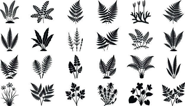 Set of ancient ferns mosses and wild forest plants black silhouette icons isolated on a white background