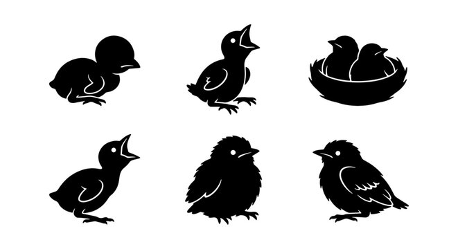 Cute Baby Bird Silhouettes Collection, Adorable Chicks in Various Poses, Simple Vector Graphics for Spring and Easter Themes