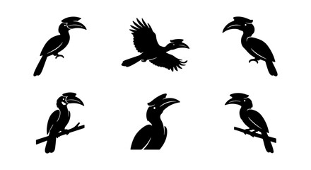 Hornbill Silhouettes Collection: Exotic Bird Icons, Tropical Wildlife Graphics, Avian Vector Art Set © Tumpa