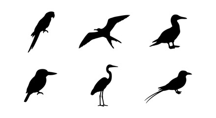 Diverse Bird Silhouettes Collection: Parrot, Pterodactyl, Seagull, Kingfisher, Heron, Tropical Bird Icons © Tumpa