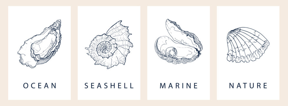 Minimalist marine poster set with elegant dark blue seashell line art. Luxury ocean seashell and oyster illustrations on beige background for modern home or seafood restaurant wall decor.
