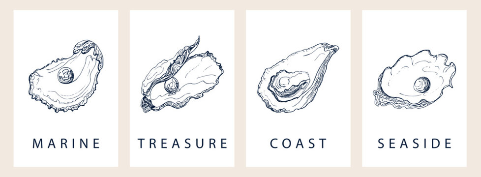 Minimalist marine poster set with elegant dark blue seashell line art. Luxury ocean seashell and oyster illustrations on beige background for modern home or seafood restaurant wall decor.