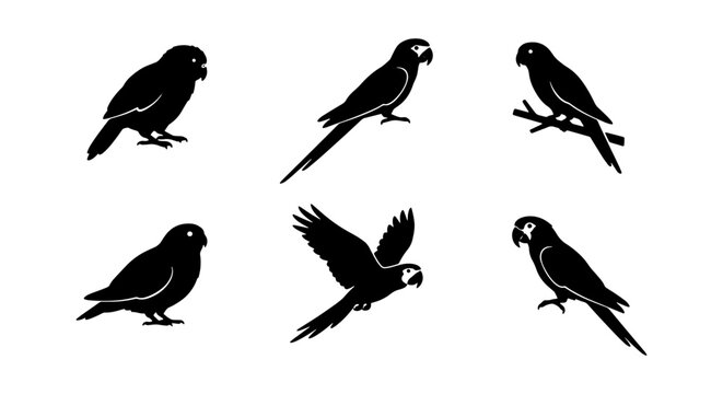 Black Silhouette Parrot Icons, Tropical Bird Vector Set, Exotic Avian Graphics Collection, Wildlife Illustration