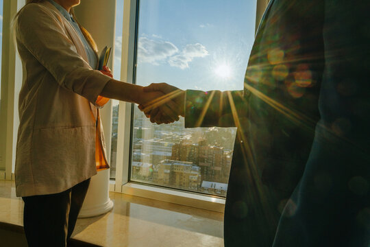Colleagues exchanging a handshake by the window in a sunny office