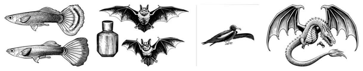 Obraz premium Detailed etching set featuring a flying dragon, spooky bats, a dark raven, and small guppy fish. This collection includes a mystical wyrm, winged creatures, and a tiny potion bottle.