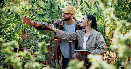 Obraz premium Team, farm and tablet for inspection with marijuana, production or hemp for sustainability. Agriculture, small business or cultivator people with tech for cannabis, harvest or startup for eco textile