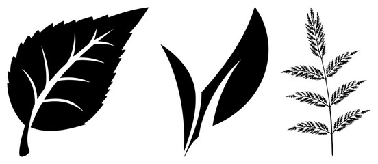 Fototapeta premium Collection of organic foliage elements including a serrated leaf, a stylized sprout, and a delicate fern. These botanical silhouettes, or greenery sprigs, offer clean natural forms.