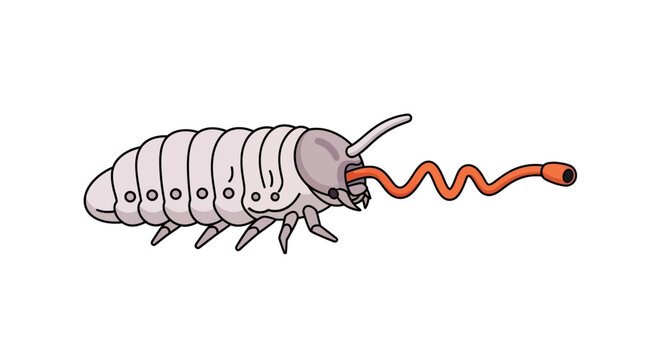 Cartoon Woodlouse with Orange Antennae on White Background