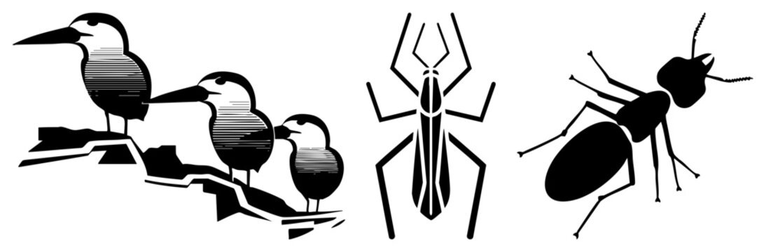 Collection of sharp black shapes featuring songbirds, a backswimmer, and a crawling ant. This set of garden critters and backyard bugs uses a clean stencil aesthetic for striking visuals.