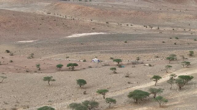 Remote Desert Camp with Tents and Acacia Trees in Arid Landscape

