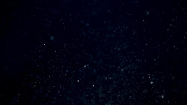 Floating organic particles drifting through deep blue liquid in abstract macro backdrop, slow motion