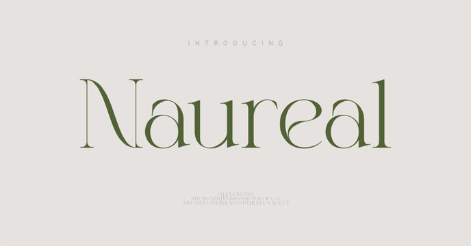 Luxury elegant modern beauty logo alphabet font. Typography fashion classic letters serif italic fonts wedding vintage logos. vector illustration 