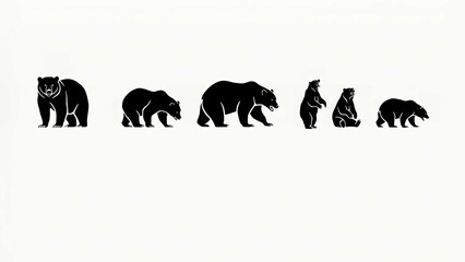 Fototapeta premium Set of black bear silhouettes showing various walking standing and sitting poses isolated on a clean white background graphic illustration