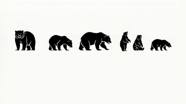 Set of black bear silhouettes showing various walking standing and sitting poses isolated on a clean white background graphic illustration