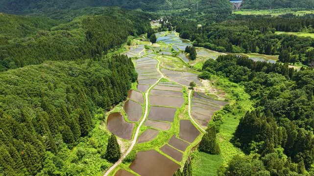 山深くまで続く棚田の風景