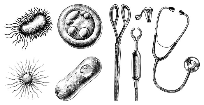 Scientific engravings of germs and bacteria alongside a stethoscope, surgical forceps, and a speculum. This medical kit includes a microbe, a pathogen, and essential clinical instruments.