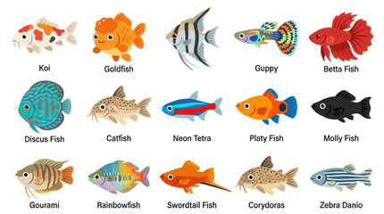 Obraz premium Cute Flat Cartoon Vector Illustration Set of Popular Freshwater Aquarium Fish Species for Pet Hobbies
