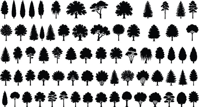 Collection of diverse tree silhouette shapes for design, illustration, and botanical reference in black vector style