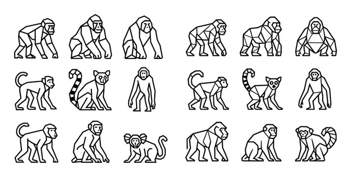 Animal icons with monkey ape lemur outline