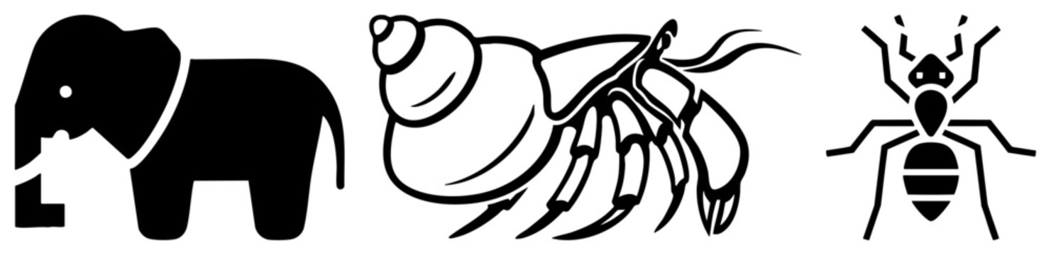 Stylized collection featuring a heavy pachyderm, a seafaring hermit, and a tiny formicid. These bold glyphs use high contrast shapes to define each creature through simple.