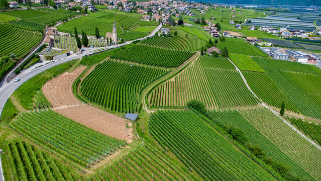TERMENO - TRAMIN - BOLZANO