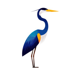Obraz premium Blue Heron Bird Illustration Isolated