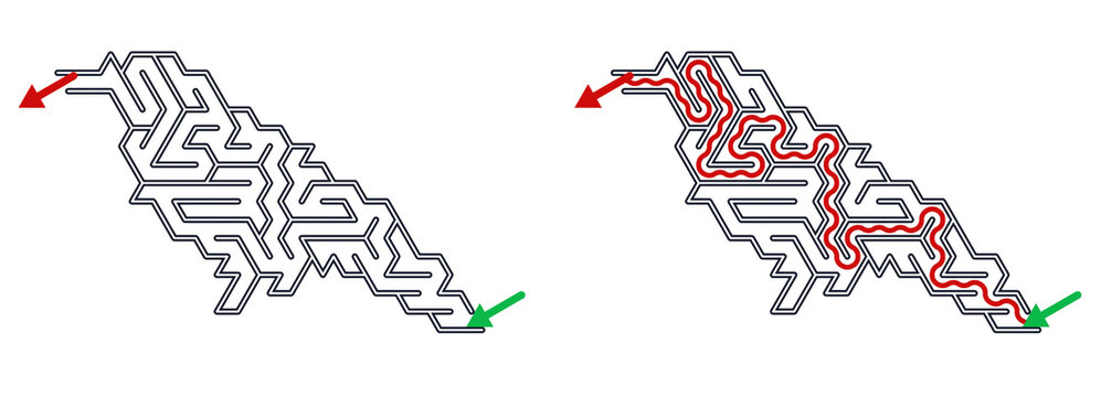 Maze with solution featuring crow design for kids activity games  
