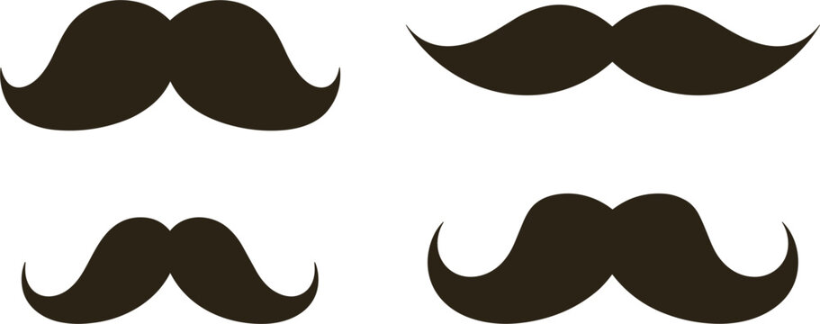 Cute Salamander Collection in Various Poses, Amphibian Vector Illustration Set