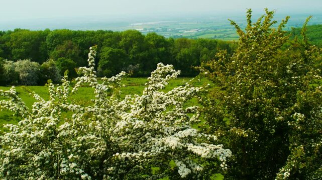 Dover Hill Coitswolds Worcesrershire England UK