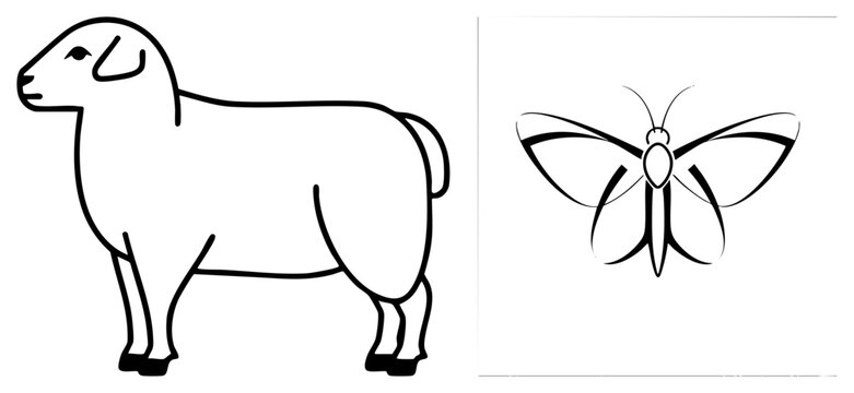 Clean of a woolly ewe and a delicate moth, featuring a simple lamb silhouette and a graceful winged insect. These black drawings offer a stark, elegant aesthetic.