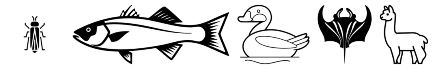 Obraz premium This set features a sleek cicada, a large fish, a swimming duck, a majestic stingray, and a fuzzy llama. These distinct wild creatures are rendered in clean black art.